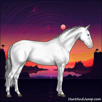 Horse Color:Black Frame