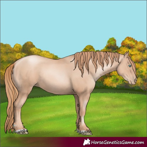 Horse Color:Gold Champagne Pearl Rabicano  and Gold Champagne Pearl Rabicano 