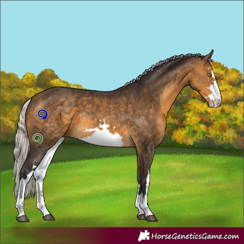 Horse Color:White Spotted Silver Buckskin 