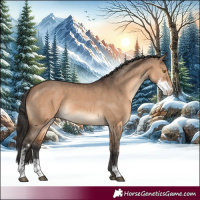 Horse Color:Brown Dun Sabino Rabicano