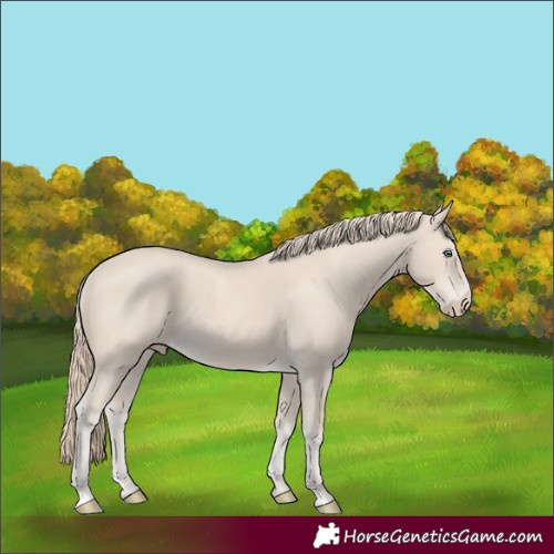Horse Color:Smoky Creme 