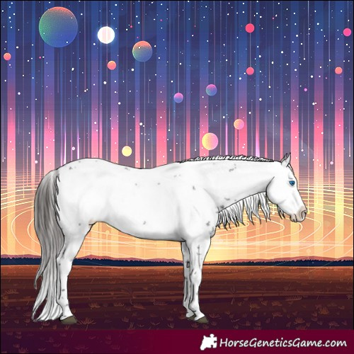 Horse Color:Liver Chestnut Frame 