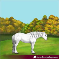 Horse Color:Black Frame 