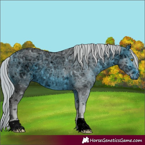 Horse Color:ERROR: UNKNOWN ANOMALY