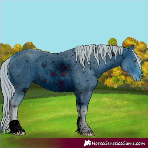 Horse Color:ERROR: UNKNOWN ANOMALY