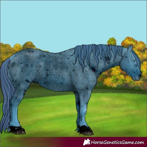 Horse Color:ERROR: UNKNOWN ANOMALY