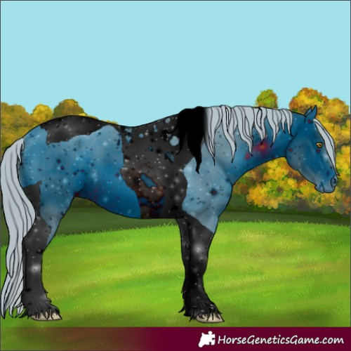 Horse Color:ERROR: UNKNOWN ANOMALY