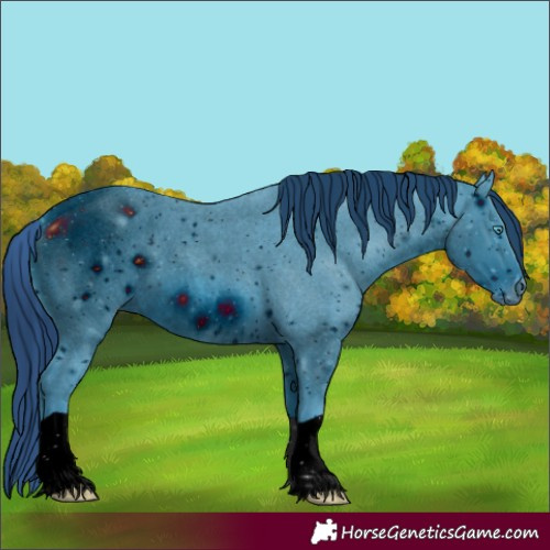 Horse Color:ERROR: UNKNOWN ANOMALY