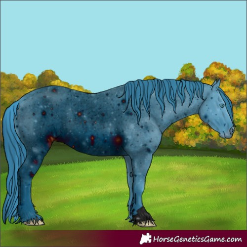 Horse Color:ERROR: UNKNOWN ANOMALY