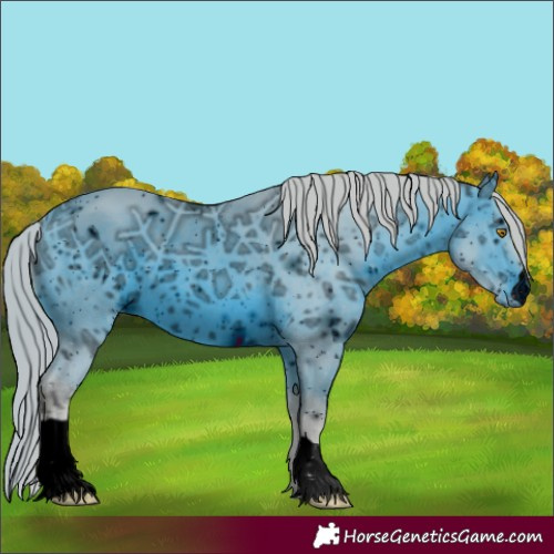 Horse Color:ERROR: UNKNOWN ANOMALY