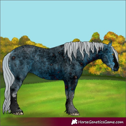 Horse Color:Unknown 