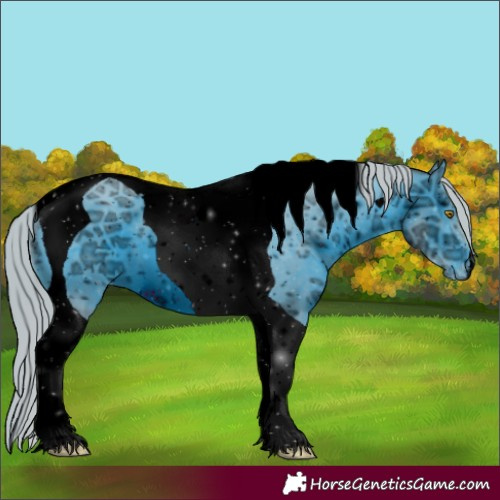 Horse Color:ERROR: UNKNOWN ANOMALY