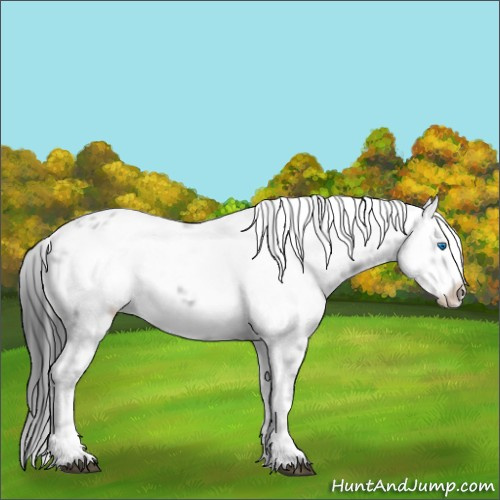 Horse Color:Black Frame 