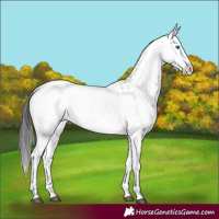 Horse Color:Black Frame 