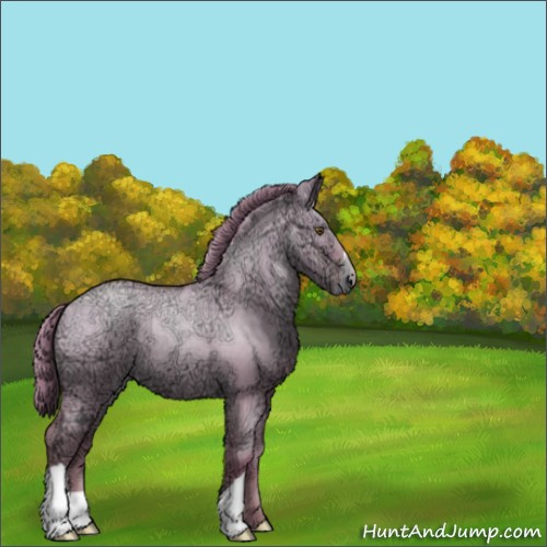 Horse Color:Grullo Ice Roan Pearl 