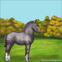 Horse Color:Grullo Ice Roan Pearl 