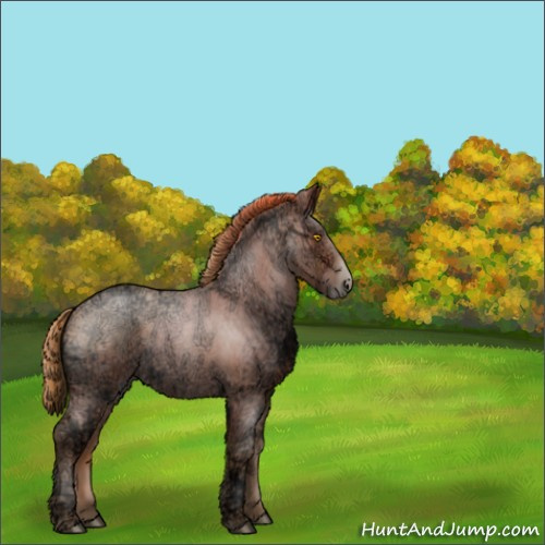 Horse Color:Brown Ice Roan Pearl