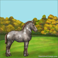 Horse Color:White Spotted Grullo Ice Roan Pearl 