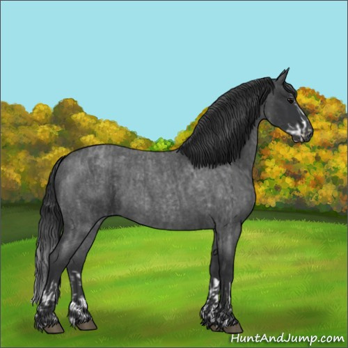 Horse Color:Blue Roan Sabino Splash  and Blue Roan Sabino 