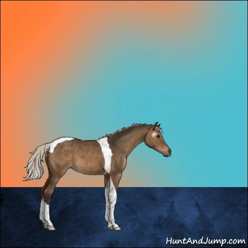 Horse Color:Gray Silver Bay Dun Sabino Tobiano 
