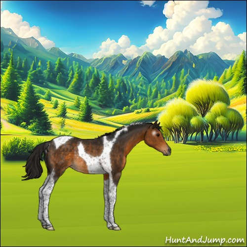 Horse Color:Gray Buckskin Tobiano Rabicano 