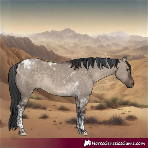 Horse Color:Brown Dun Sabino Tobiano Rabicano