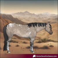 Horse Color:Brown Dun Sabino Tobiano Rabicano 