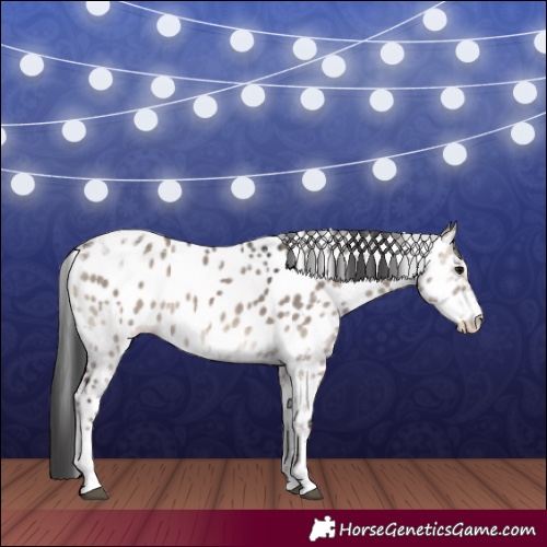 Horse Color:Grullo Onyx Tobiano Appaloosa Rabicano 