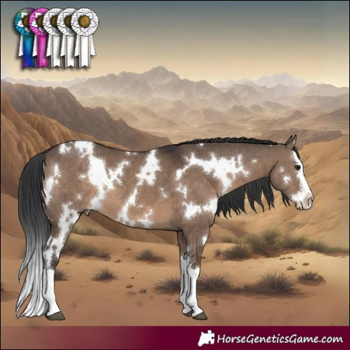 Horse Color:White Spotted Brown Dun Splash 