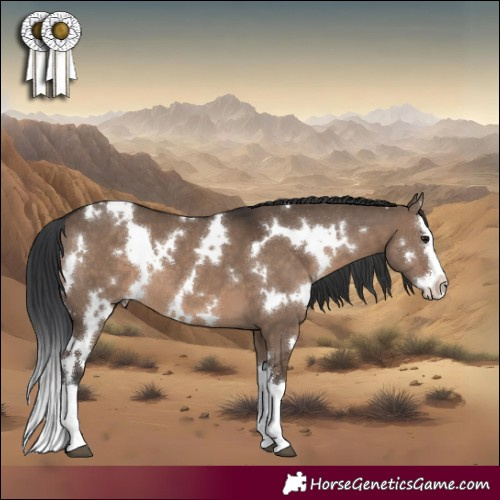 Horse Color:White Spotted Brown Dun Splash 