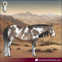 Horse Color:White Spotted Brown Dun Splash