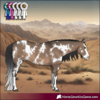 Horse Color:White Spotted Brown Dun Splash 