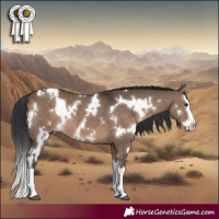 Horse Color:White Spotted Brown Dun Splash