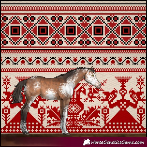 Horse Color:White Spotted Bay Sabino Rabicano 