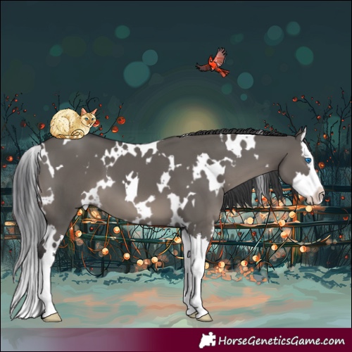 Horse Color:White Spotted Grullo Splash 