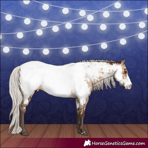 Horse Color:White Spotted Silver Brown Dun Sabino Near Fewspot Brindle 