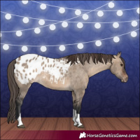 Horse Color:Brown Dun Tobiano Blanket Rabicano 