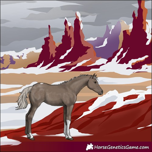 Horse Color:Silver Grullo Sabino Tobiano Rabicano 