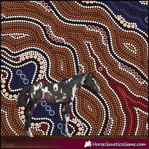 Horse Color:White Spotted Brown Sabino Rabicano 