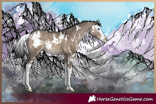 Horse Color:White Spotted Brown Dun Splash 