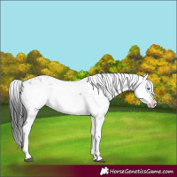 Horse Color:Black Frame