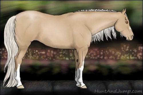Horse Color:Silver Black Pearl 