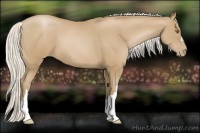 Horse Color:Silver Black Pearl 