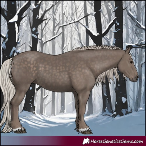 Horse Color:Silver Black 