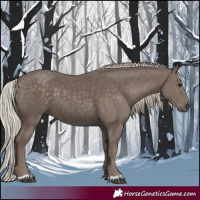 Horse Color:Silver Black 