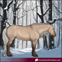 Horse Color:Silver Brown Dun