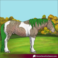Horse Color:Gray Watercolor Amber Champagne Ice Tobiano Rabicano 