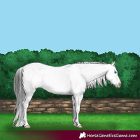 Horse Color:Black Frame 