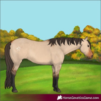 Horse Color:Bay Dun