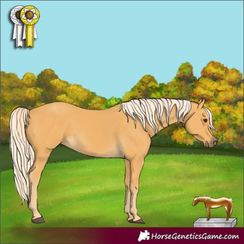 Horse Color:Palomino 
